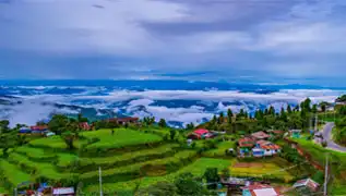 travel agency