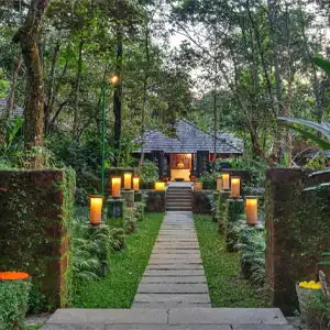 top travel management companies in the world