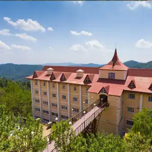 top travel management companies in the world